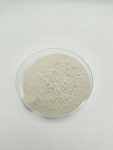 Hot bán off-trắng bột CAS 9012 mật độ cao Chitosan bột km với giá nhà máy - Product Image 2