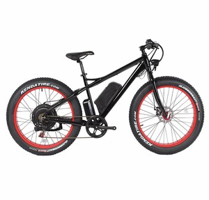 26 inch 1000 W high power brushless motor Gearless electric mountain <span class=keywords><strong>bike</strong></span> with CE - Product Image 2