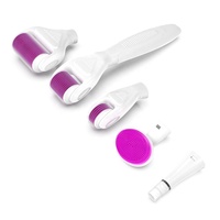 Kit de rouleau de derma glacé 6 en 1/6 en 1/6in 1/6 in 1 avec fonction de massage électrique