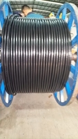 Câble d'alimentation à âme en cuivre YJV, isolé XLPE, certifié RETIE Type 5, câble basse tension pour les projets de construction et de distribution d'énergie