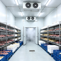 Contenedor Refrigerado Tipo Congelador con Unidad de Condensación de Corriente Continua para Almacenamiento en Cámaras Frigoríficas y Transporte de Alimentos Congelados