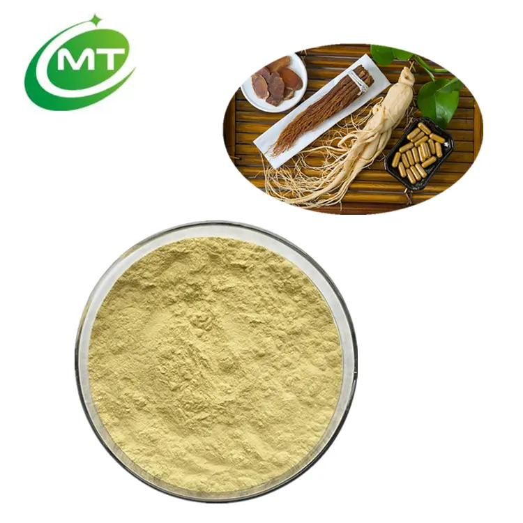 Polvere di Ginsenosides (HPLC) di Panax Ginseng 10% estratto di Ginseng rosso coreano organico di Panax ginseng