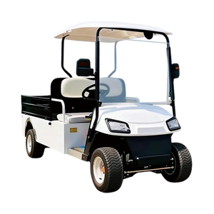 Voiturette de golf électrique 2 places haute performance personnalisable avec batterie 60V et coffre de chargement - Product Image 1