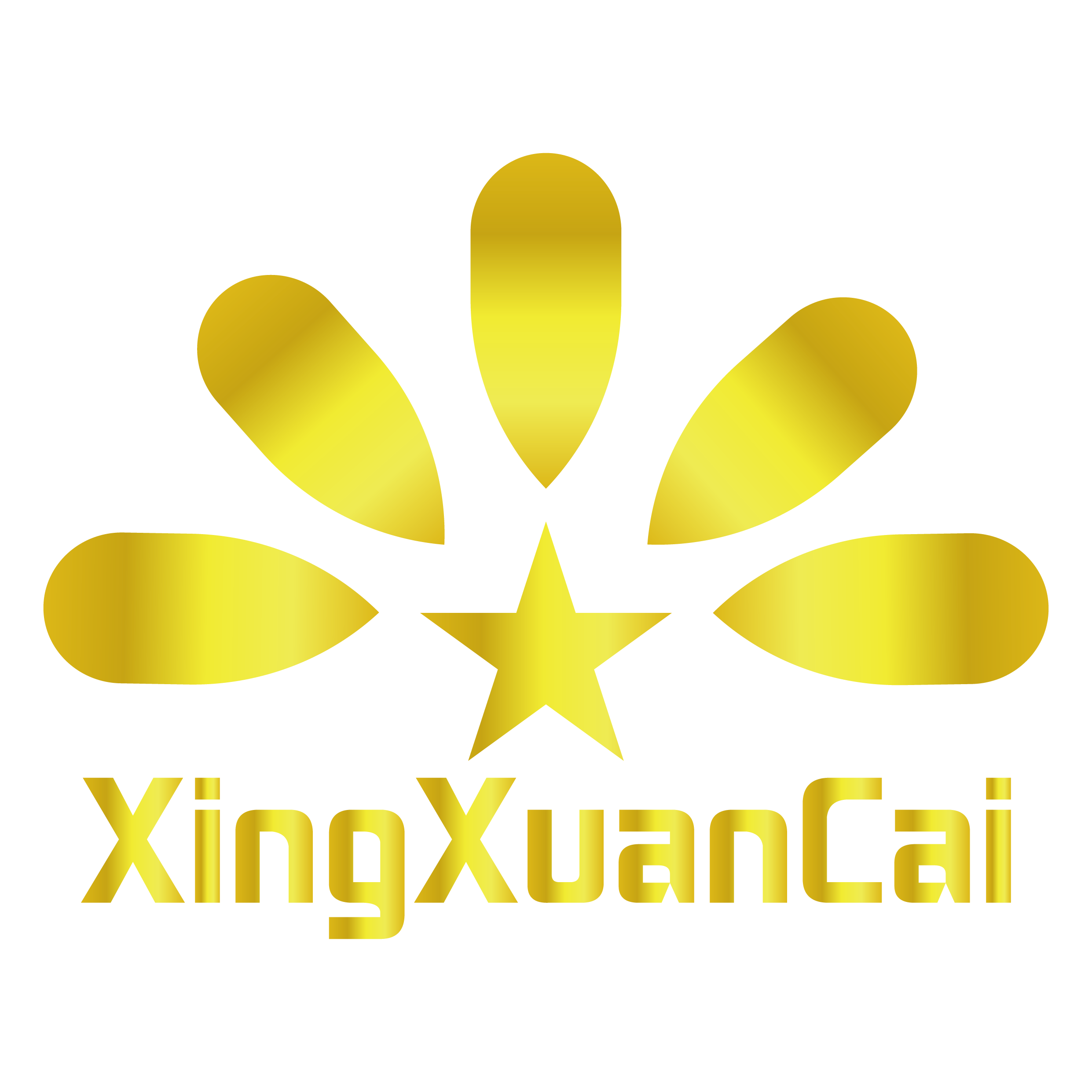 Guangzhou Xingxuancai Nail Product Co., Ltd. logo