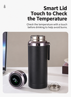 Bouteille d'eau isotherme en acier inoxydable de 1000 ml avec affichage de la température, filtre à thé, poignée, anti-fuite, thermos
