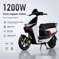 Trottinettes électriques en gros d'usine, batterie au plomb longue portée, vitesse maximale de 80 km/h, moteur de 2000 W, capacité de charge de 200 kg