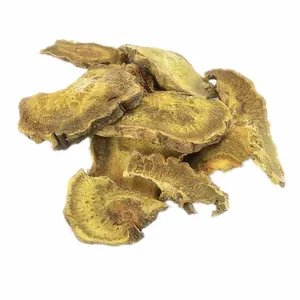 wholesale rhubarb root slices pure natural Rheum palmatum high quality Chinese rhubarb root