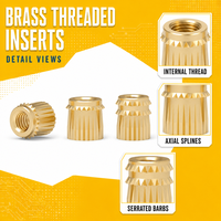 Custom Size Knurl Brass Plastic Insert Fasten and Nut for OEM Project Developer B2B Supply