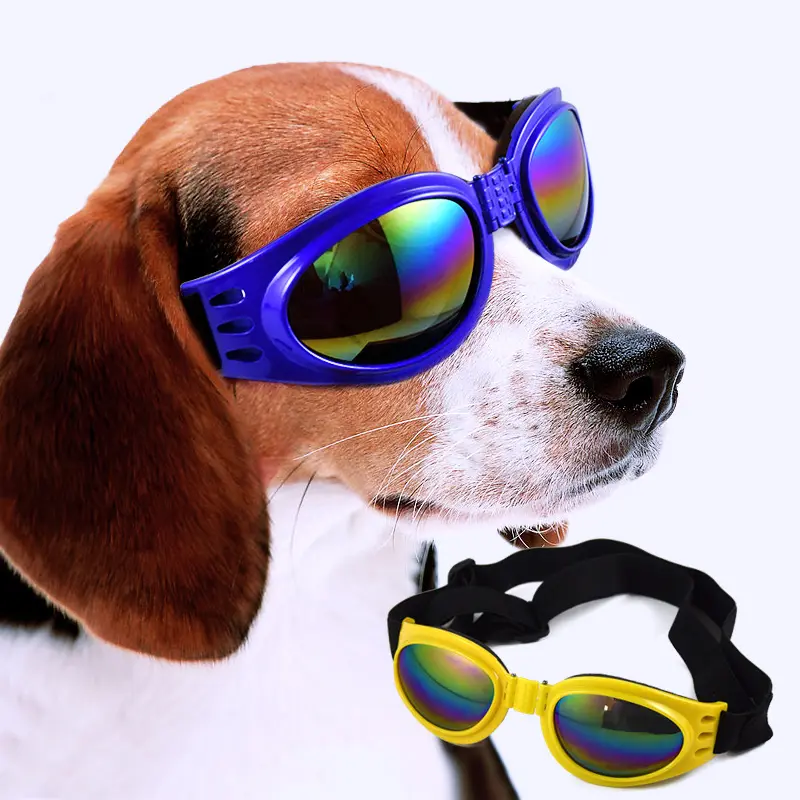 थोक बहुरंगा गर्मियों में सूरज यूवी सबूत पालतू सामान कुत्ते धूप का चश्मा