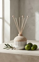 Diffuseur à roseaux en verre, ensemble de bouteilles diffuseurs en verre ambré dépoli avec boîte, emballage de luxe vide pour diffuseur 150 ml