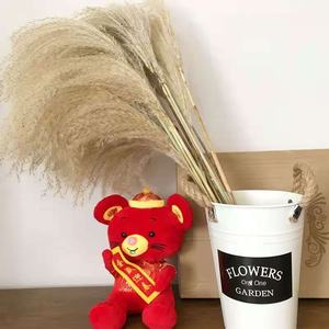 Usine Boho Décor De Mariage Grand Plume Sec <span class=keywords><strong>Pampas</strong></span> Herbe Fleur Naturel Réel Préservé Séché <span class=keywords><strong>Pampas</strong></span> Herbe Décor pour Noël - Product Image 3