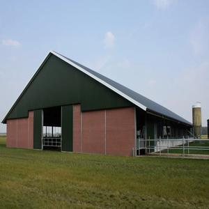 Struttura in Acciaio Leggero per Stalla di Mucche con Caratteristiche Anti-Corrosione e Antiruggine, Moderna <span class=keywords><strong>RT</strong></span> con Garanzia di 1 Anno - Product Image 5