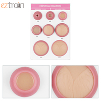 Ensemble de modèles de dilatation cervicale de 8 (base A4), modèle en silicone, modèle d'examen gynécologique, pour usage en laboratoire