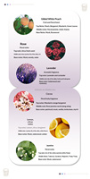 Großhandel Maßgefertigte Farbige Sojawachs 120g Weiße Gipsbecher Aromatherapie Duftkerzen für Luxus-Geschenke Einzigartig