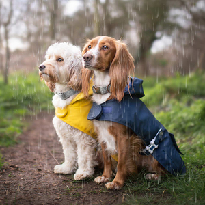 Ropa para Perros Ajustable y Ligera de Lujo <span class=keywords><strong>The</strong></span> <span class=keywords><strong>North</strong></span> <span class=keywords><strong>Face</strong></span>, Chaqueta Impermeable para Mascotas de Poliéster y Nailon, Diseño Union Jack con Franja Reflectante - Product Image 6