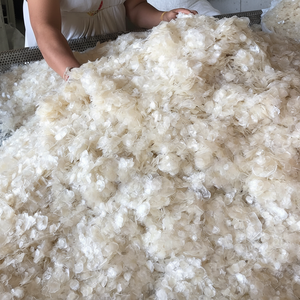 Colágeno de Escamas de Pescado - Product Image 1