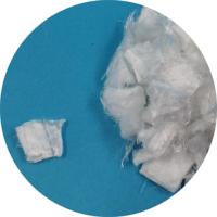 Coupe courte en fibre discontinue Lyocell pour filtration