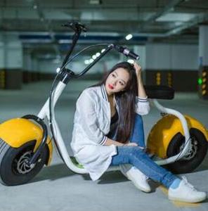 Pièces de scooter EH01 City Roller 60V 12AH/20AH 1000W certifiées CE, étanches, vitesse 45 km/h, autonomie 60-80 km - Product Image 6
