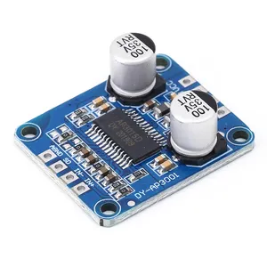 High Power Digital Amplifier Module Mono Class D 4-8ohm DC 12V 24V 8V-24V For 10W 20W 30W-300W Speaker DY-AP3001