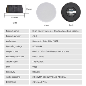 Altavoz de Techo Inalámbrico BT con Sistema de Audio y Amplificador para Cine en Casa Inteligente, Altifalante de Techo Comercial - Product Image 6