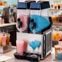 Machine à slush commerciale 2 réservoirs 12L pour smoothies et boissons glacées à vendre
