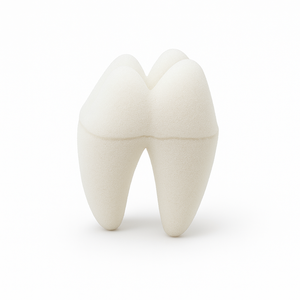 Esponja Dental Absorbente Suave Personalizada en Forma de Diente para Dentista, Clínica, Educación PARA LA Salud Bucal, Cuidado DE LOS Dientes para Niños - Product Image 5