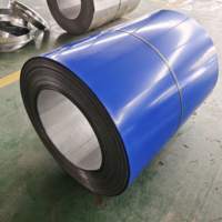 Bobina de Acero PPGI Recubierta de PE de Primera Calidad DX51D 0.3-0.8mm para Láminas de Techo y Construcción