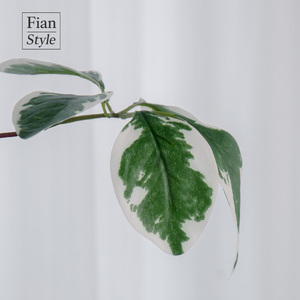 Bán Buôn Nhân Tạo Hoa Cây Lá Bạch Đàn Lá Sồi Chi Nhánh Cho Đám Cưới Trang Trí - Product Image 2