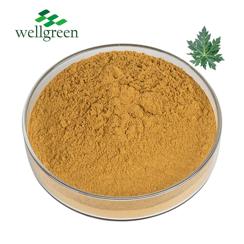 Wellgreen Factory – cosmétiques naturels de qualité alimentaire, utilisation d'extrait de feuilles de papaye biologique
