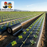 Film plastique agricole noir en PE pour agriculture commerciale, rouleau de 115 cm x 72 cm, transparent, lisse et rigide