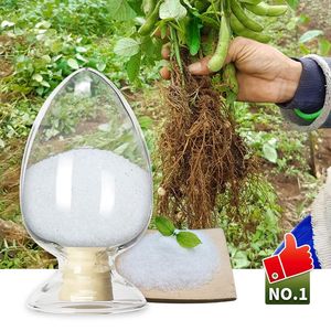 Hoge Waterabsorptie Hydrogel Sapkristallen Kunstmatige Grond Voor Planten 40-100mesh Sap