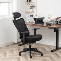Anji Usine Chaise de Bureau Ergonomique Support Lombaire Tissu Maille Conçu pour Bureau d'Ordinateur Métal Chromé-Fourniture Directe en Usine