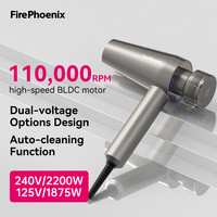 Sèche-cheveux professionnel FirePhoenix M2 double tension haute puissance 100V-240V 110000RPM avec filtre détachable pour hôtels et usage professionnel