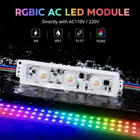 Module LED AC haute tension Rgbic à installation facile et haute luminosité, AC110V 220V, 75 pieds, idéal pour les parcs à thème et la décoration de fêtes