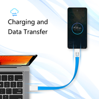 Cargador de Llavero Portátil 2 en 1, Colorido, Mini, Carga Rápida 3A, con Anillo para Llaves, Regalo Promocional para Teléfono Móvil, para Uso con Banco de Energía