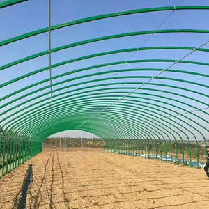 Serre tunnel d'élevage pour volailles, pour poulets - Product Image 6