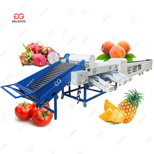 Machine de tri et de calibrage automatique industrielle pour fraises, avocats, fruits, oranges, trieuse d'avocats, séchage et tri pour les avocats - Product Image 1