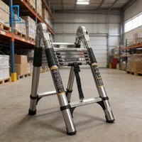 Échelle télescopique en acier inoxydable 2,5+2,5 mètres, pliable, multifonctionnelle, épaissie, renforcée, antidérapante
