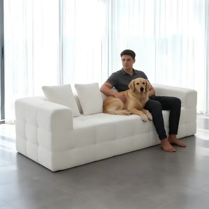 Sofá Moderno de Dos Plazas Tapizado en Terciopelo con Cojines de Chenilla y Reposabrazos Acolchados, Base Antideslizante - Product Image 4