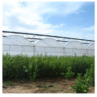 Grande Serre Hydroponique pour la Culture de Fraises, Myrtilles et Légumes