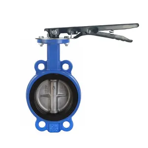 SONGO 2 Inch Polishing Plate EPDM Rubber Seat Cast Iron Handle Wafer Butterfly Valve