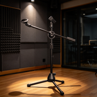 Support de microphone, petite guitare pour enfants, instrument Erhu, violon à tête de cheval, tambour de sol, support de microphone trépied