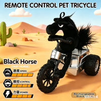 Tricycle télécommandé 4 canaux DWI Dowellin Crazy Lamb, design mouton en peluche, lumières LED, chargeur de batterie au lithium, intérieur-extérieur