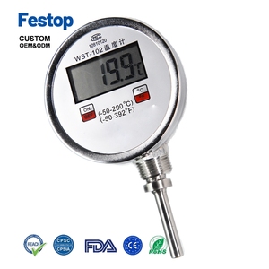 Thermomètre de compostage numérique personnalisable en acier inoxydable TE <span class=keywords><strong>SHI</strong></span> DTM-491 avec sonde, affichage numérique, OEM ODM, garantie 1 an, fabriqué au Jiangsu - Product Image 1