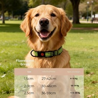 Collier Moderne Rayé 100% Nylon pour Chiens et Chats - Conception Détachable Durable et Réglable, Léger, Respirant, Décoratif et Réfléchissant