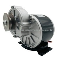 Moteur de réduction brossé 24V 350W avec aimant permanent MY1016Z2 Style 12A Prot antidéflagrant à courant continu
