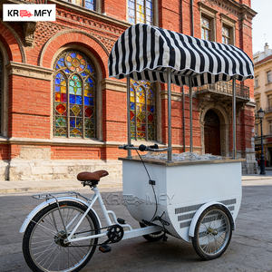 Carrito de Venta de Helados y Comida Rápida, Remolcable, Metálico, Resistente a la Oxidación - Product Image 5