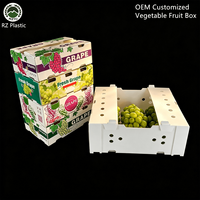 Caisse en plastique ondulé PP pour fruits frais, raisins, Uva, raisins secs, stockage frigorifique, respirante, taille personnalisée, logo, fournisseur OEM, caisse en carton alvéolé