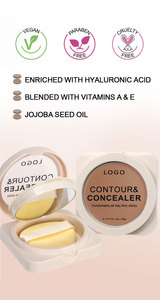 Palette de correcteur de teint professionnel à logo personnalisé, longue tenue, hydratante, imperméable, crème soyeuse - Product Image 2