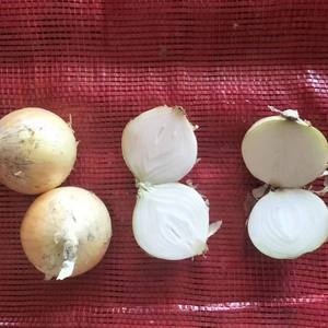 Tươi Bán Buôn Trung Quốc Màu Đỏ/Vàng Hành Tây Giá Rẻ Giá Nhập Khẩu Xuất Khẩu Hữu Cơ Tươi Trắng Tỏi Và Tươi Hành Tây Nhà Cung Cấp - Product Image 6